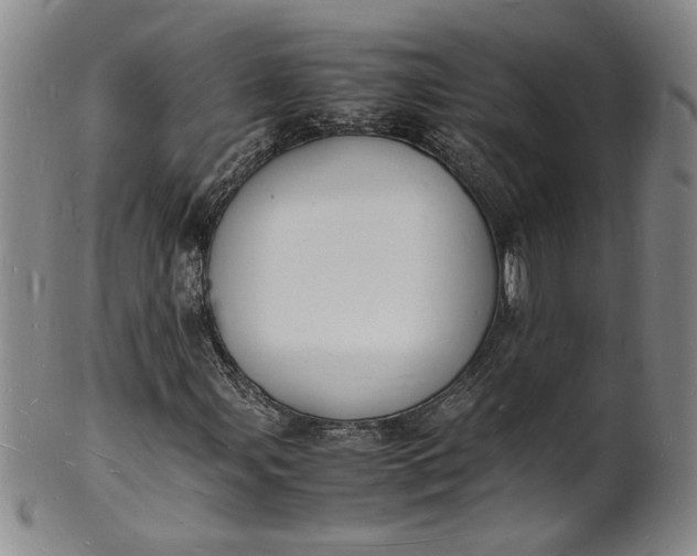 X0000100981107200807081237