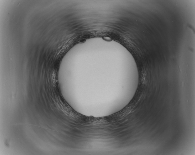 X0000100981108200807081237