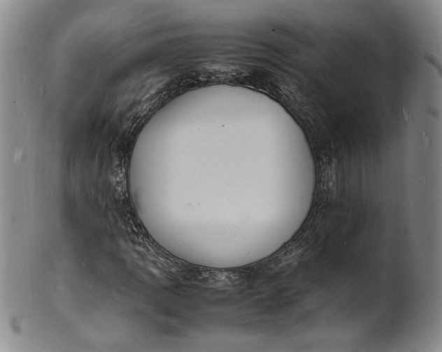 X0000100981109200807081237