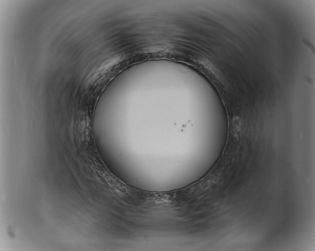 X0000100981111200807081237