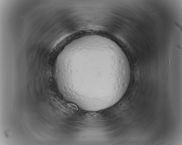 X0000100981112200807081237