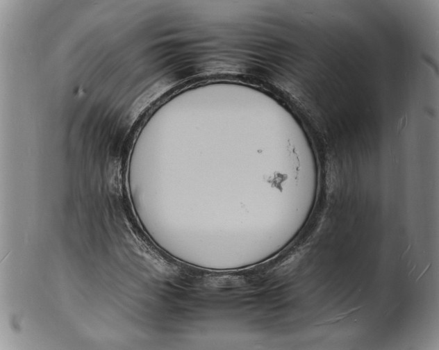 X0000100981113200807081237