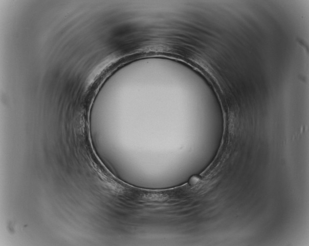 X0000100981115200807081237