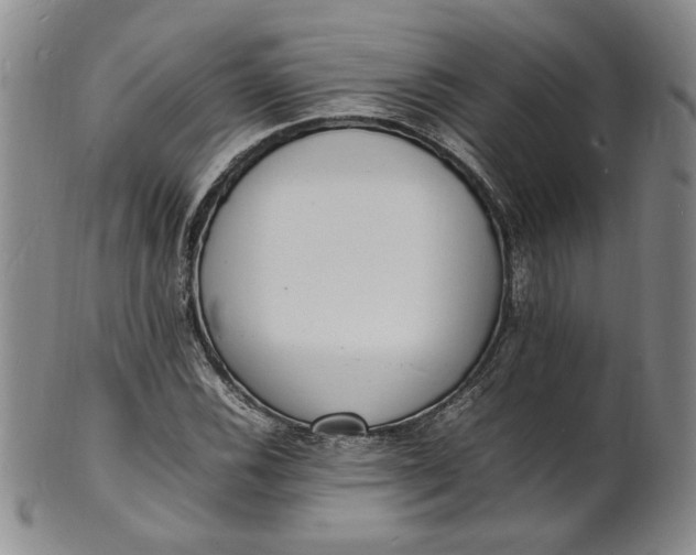 X0000100981116200807081237