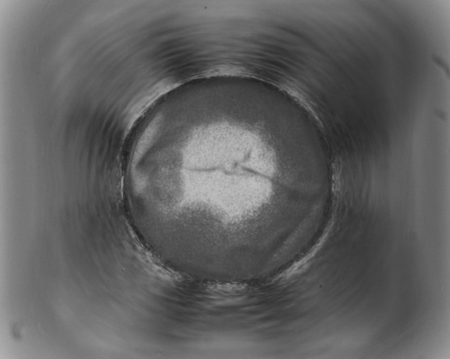 X0000100981117200807081237