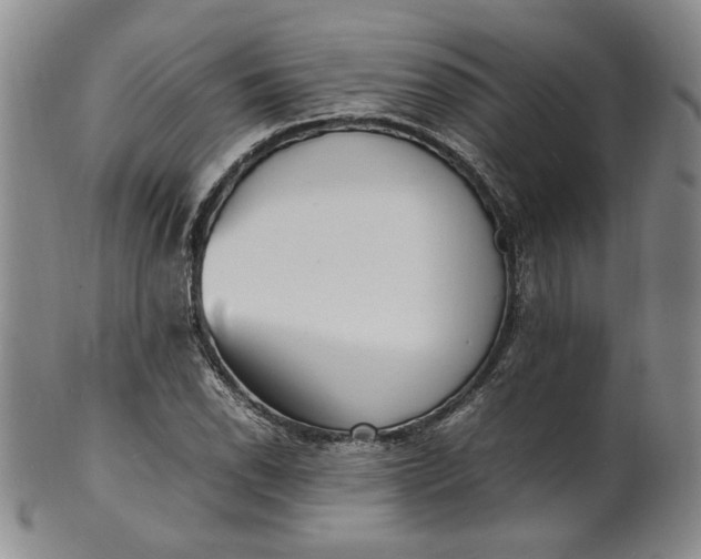 X0000100981118200807081237