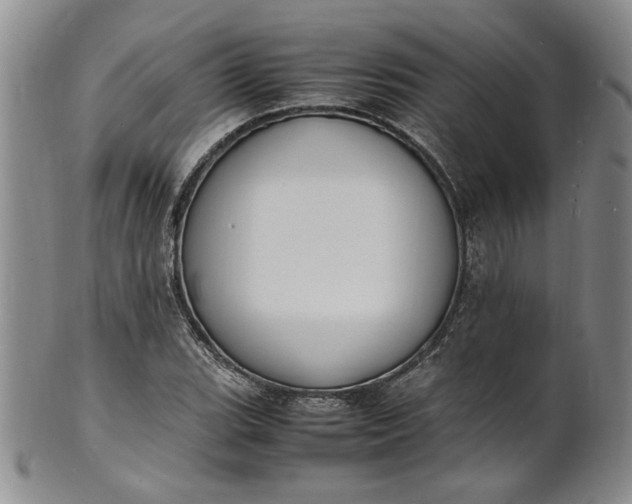 X0000100981119200807081237