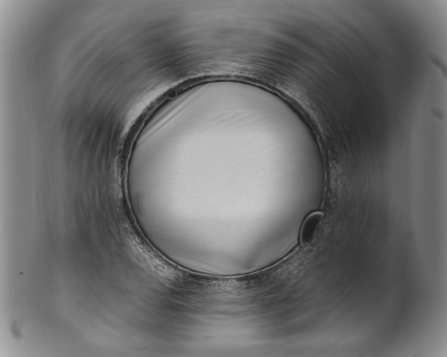 X0000100981120200807081237