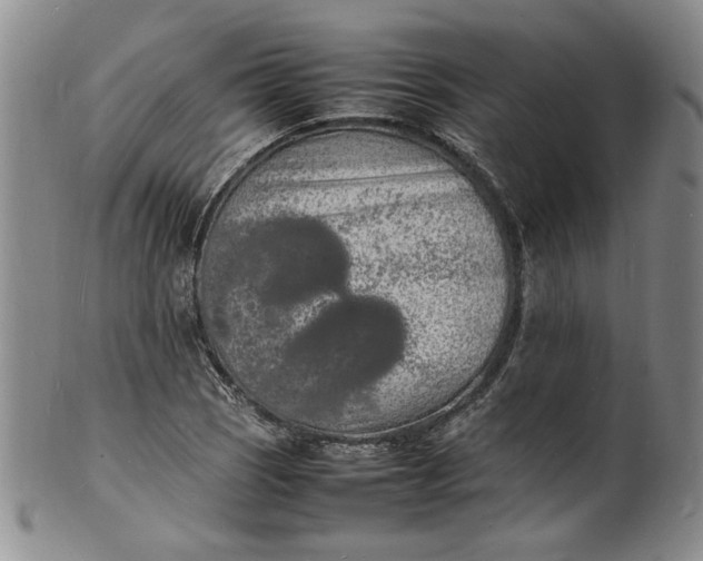 X0000100981121200807081237