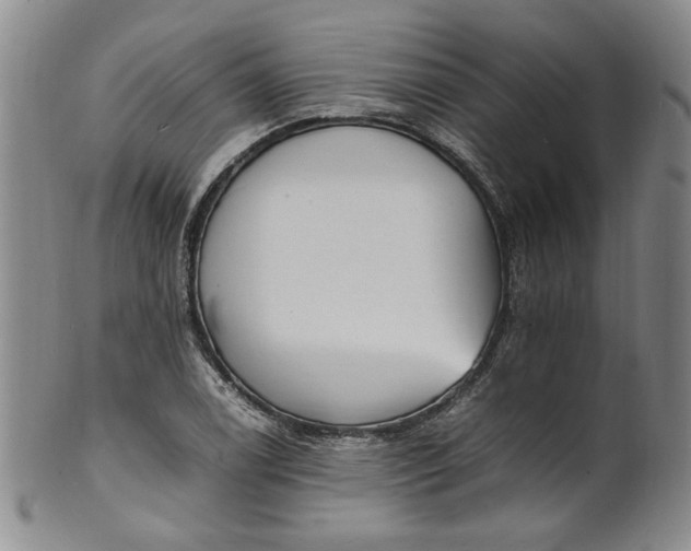 X0000100981122200807081237