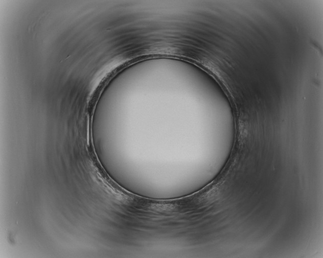 X0000100981123200807081237