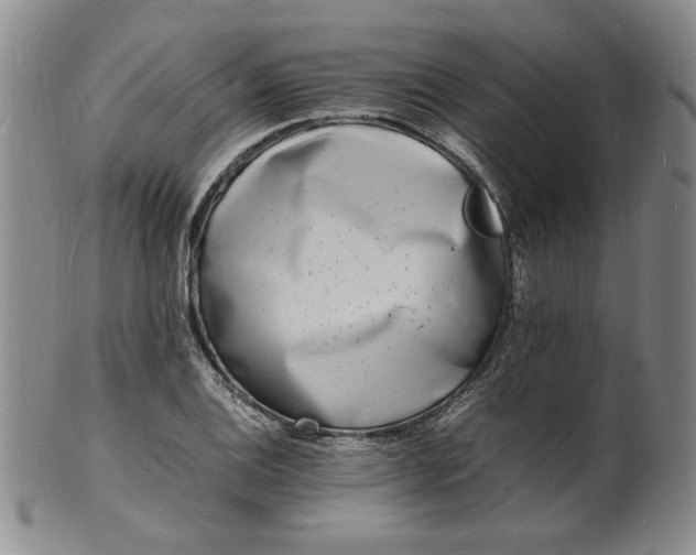 X0000100981124200807081237