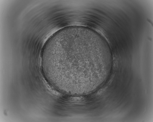 X0000100981125200807081237