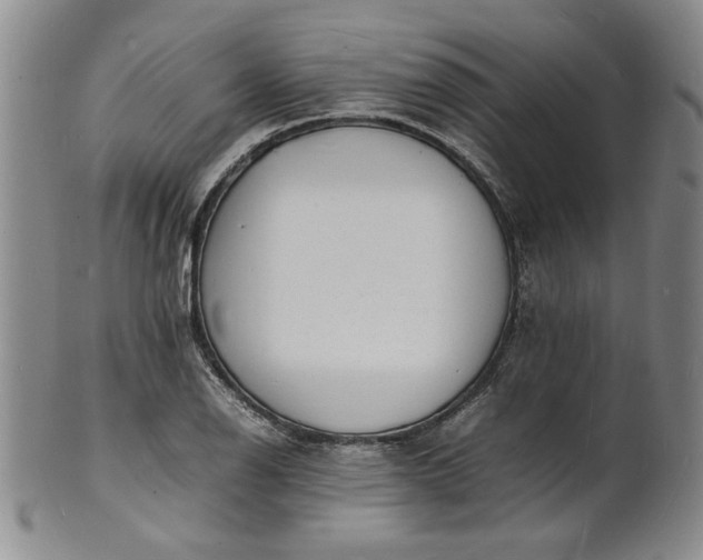 X0000100981126200807081237