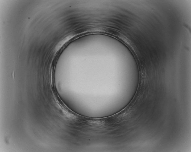 X0000100981127200807081237