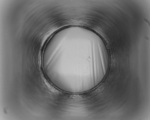 X0000100981128200807081237