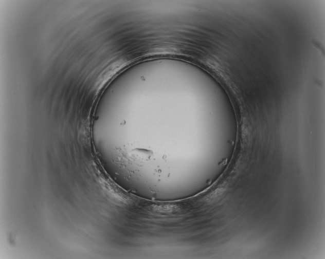 X0000100981129200807081237