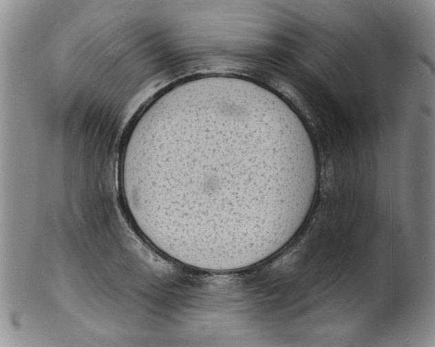 X0000100981130200807081237