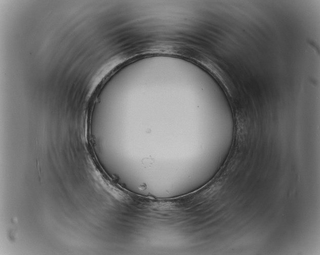 X0000100981131200807081237