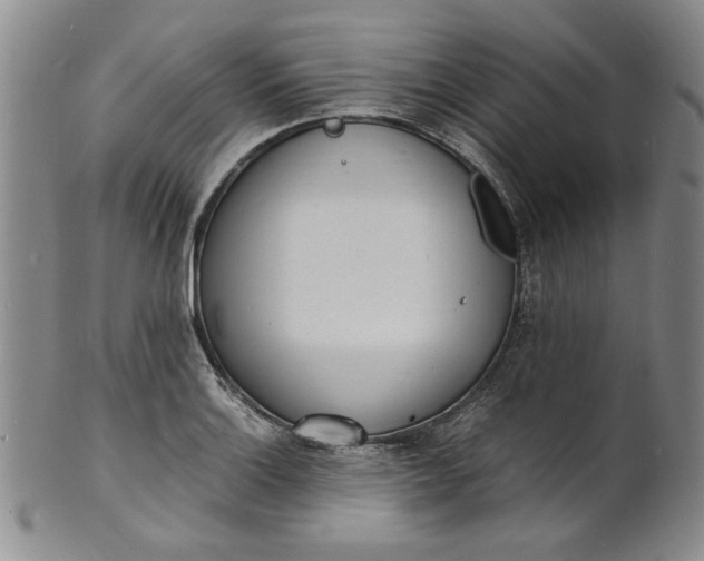 X0000100981132200807081237