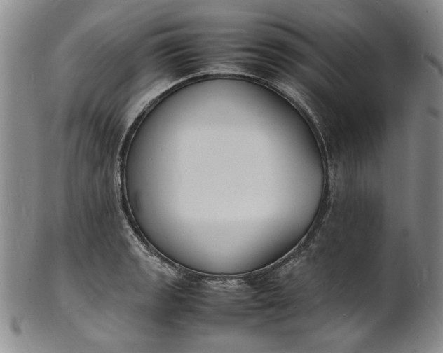 X0000100981133200807081237