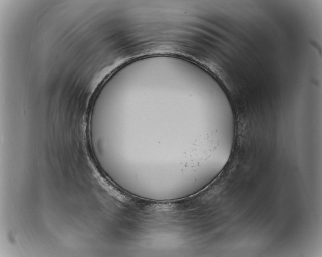 X0000100981134200807081237