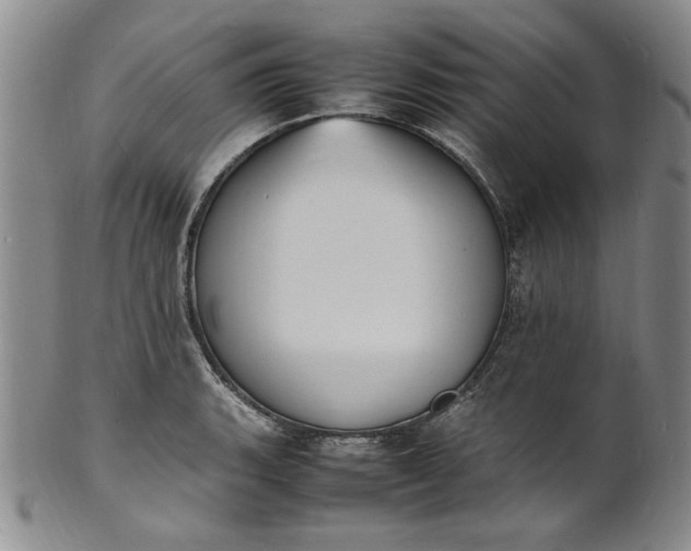 X0000100981135200807081237