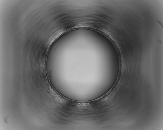 X0000100981137200807081237