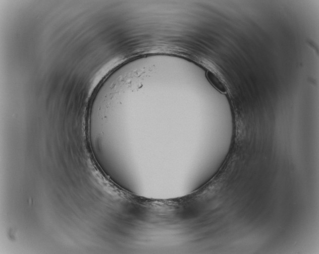 X0000100981138200807081237