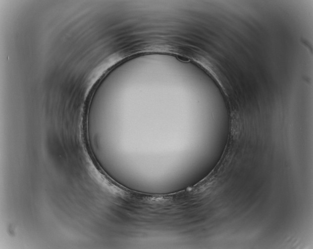 X0000100981139200807081237