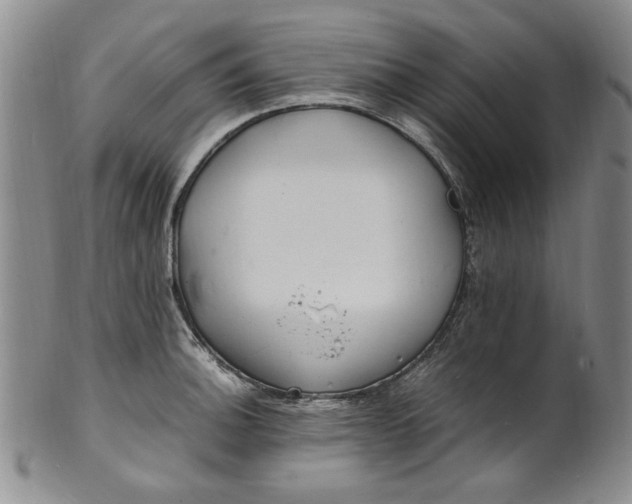 X0000100981140200807081237