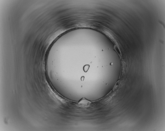 X0000100981141200807081237