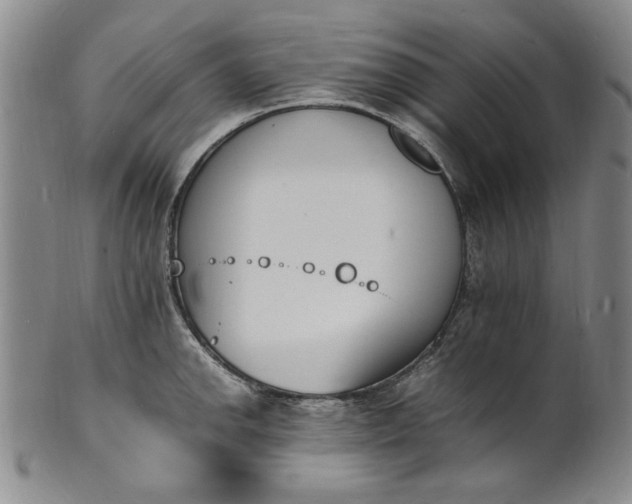 X0000100981142200807081237