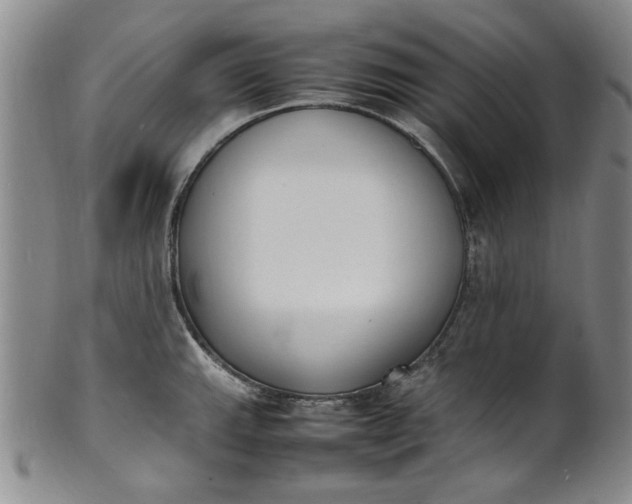 X0000100981143200807081237