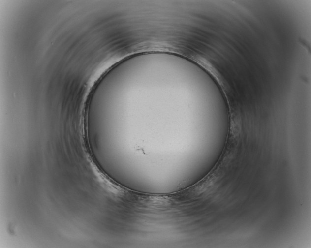 X0000100981144200807081237