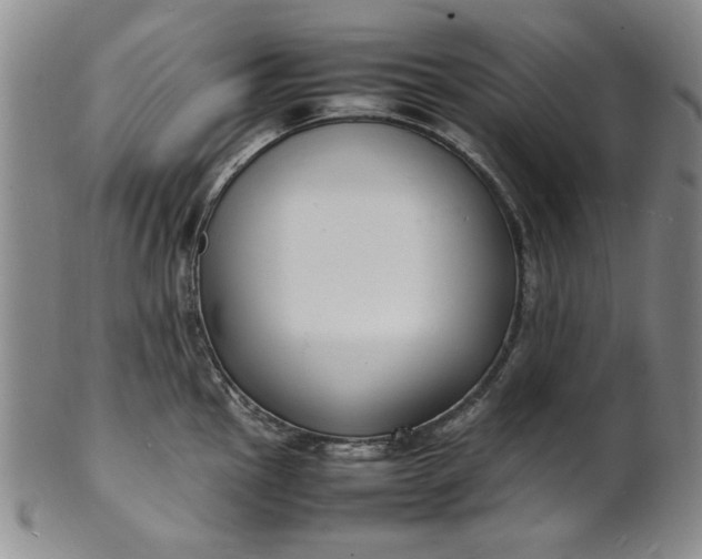 X0000100981145200807081237