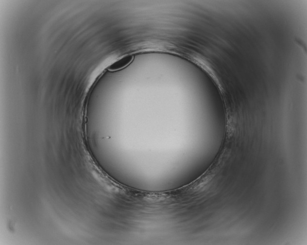 X0000100981146200807081237