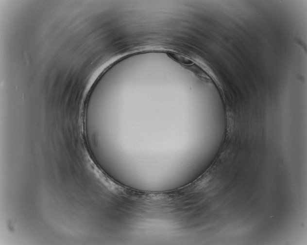 X0000100981148200807081237