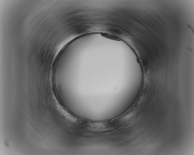 X0000100981149200807081237