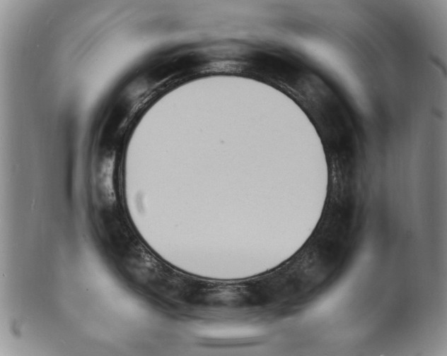 X0000100981150200807081237