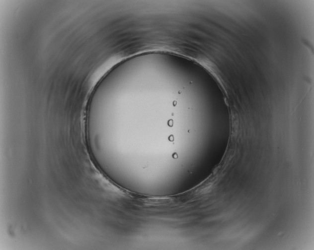 X0000100981151200807081237