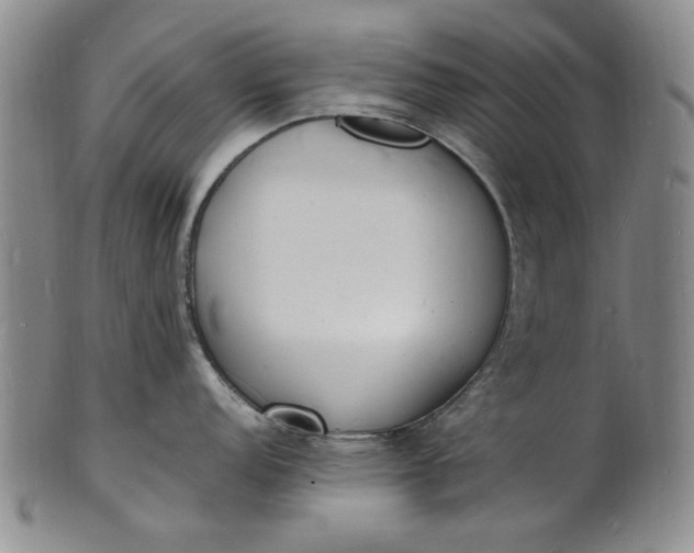 X0000100981152200807081237