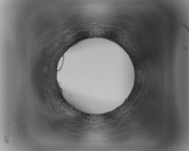 X0000100981153200807081237