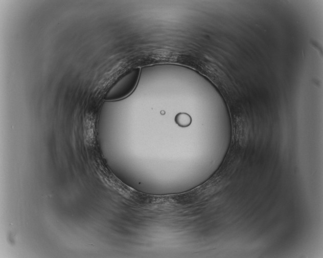 X0000100981154200807081237