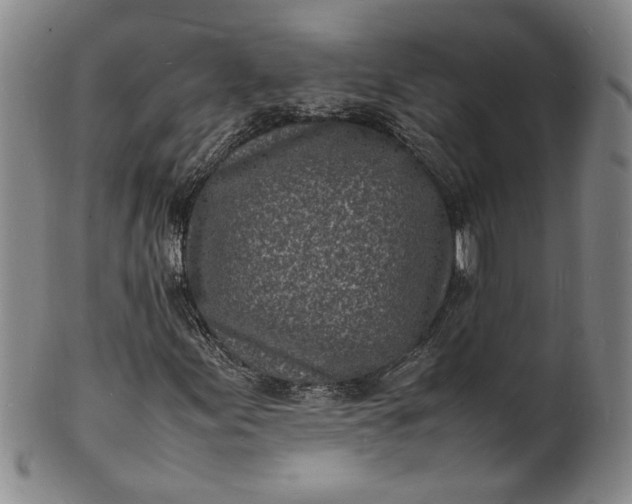 X0000100981155200807081237