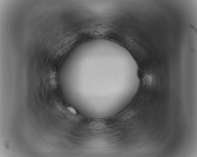 X0000100981156200807081237