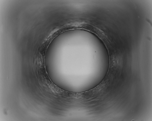 X0000100981158200807081237