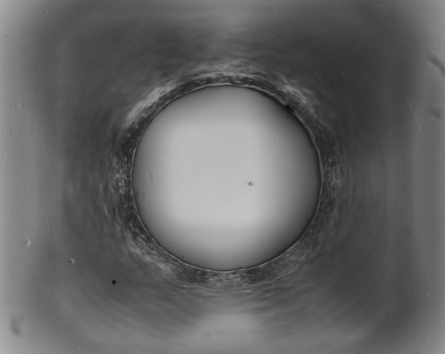 X0000100981159200807081237