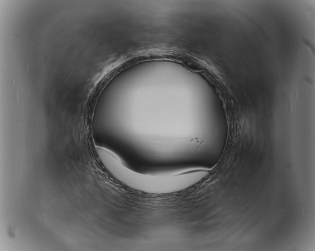 X0000100981160200807081237