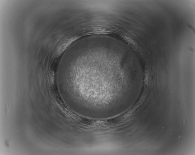 X0000100981161200807081237